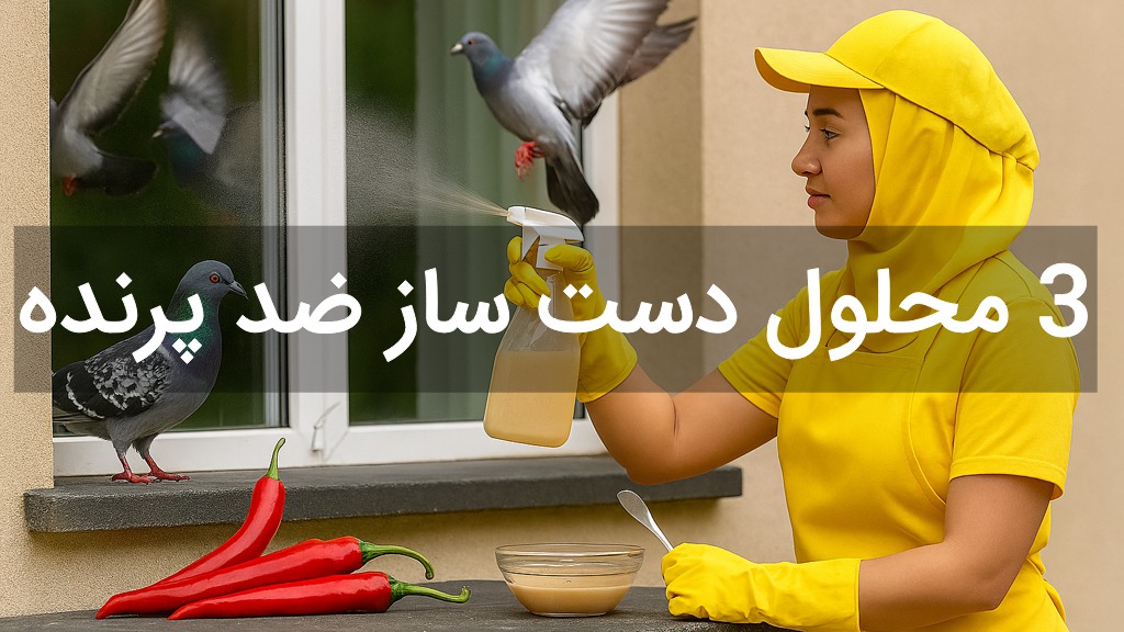دور کردن پرنده با روش ساخت محلول دست ساز در خانه برای فراری دادن کبوتر